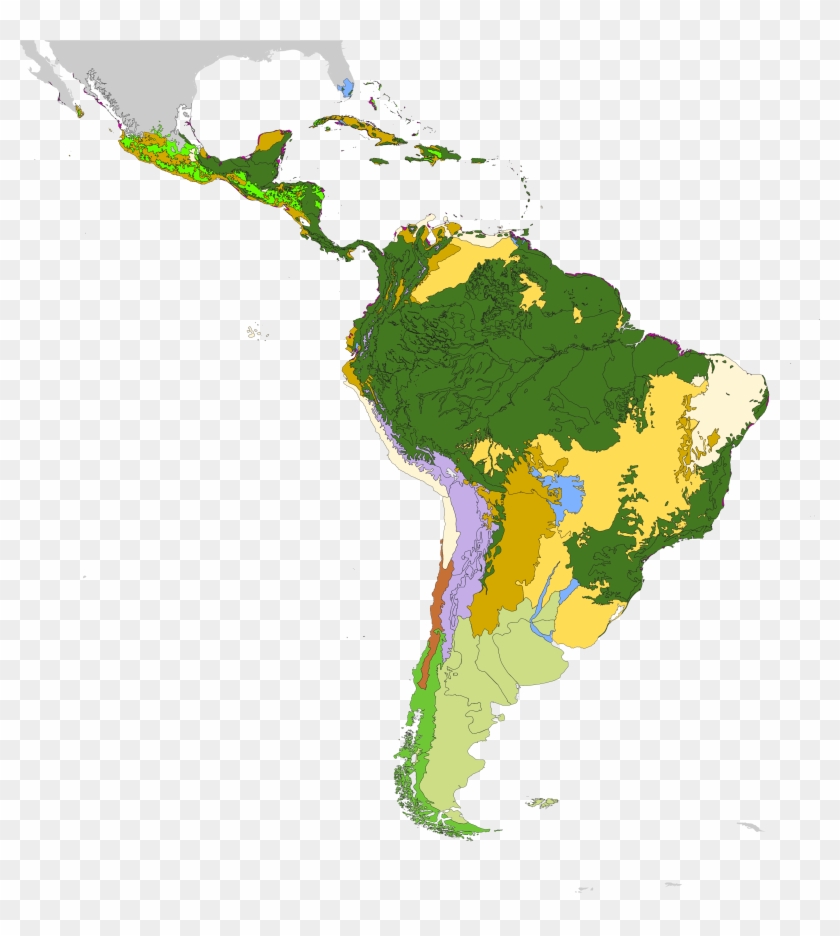 Latin America South America Map Geography Clip Art - Latin America South America Map Geography Clip Art #663274