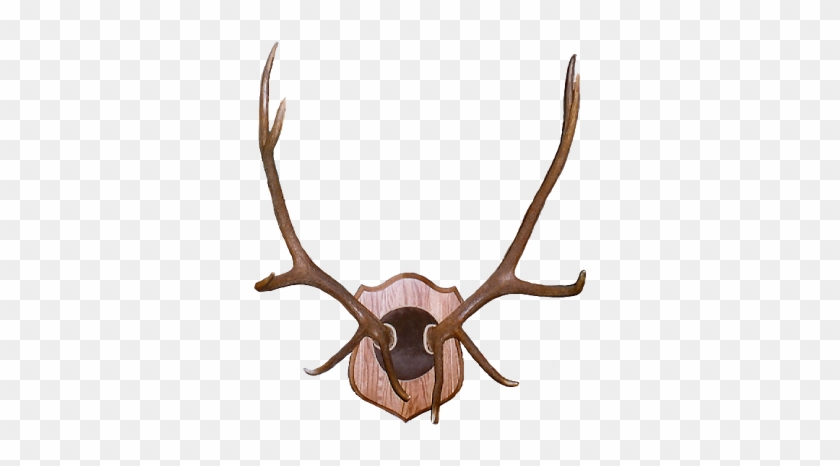 Elk Antlers Clip Art Antler Mount - Elk Antlers Mounted #663150