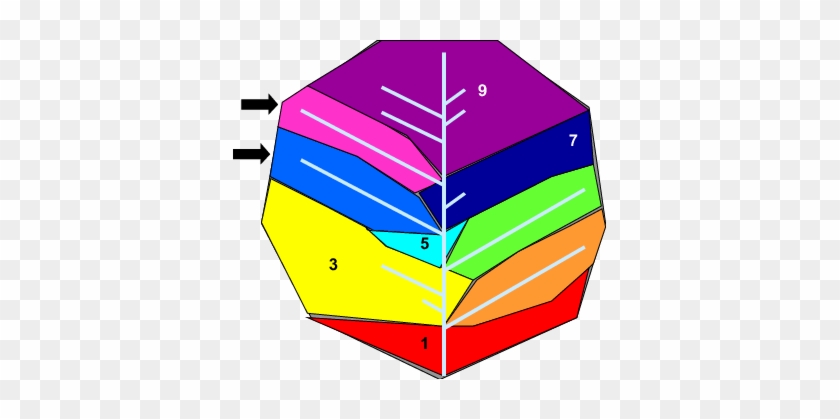 Download - Umbrella #663363