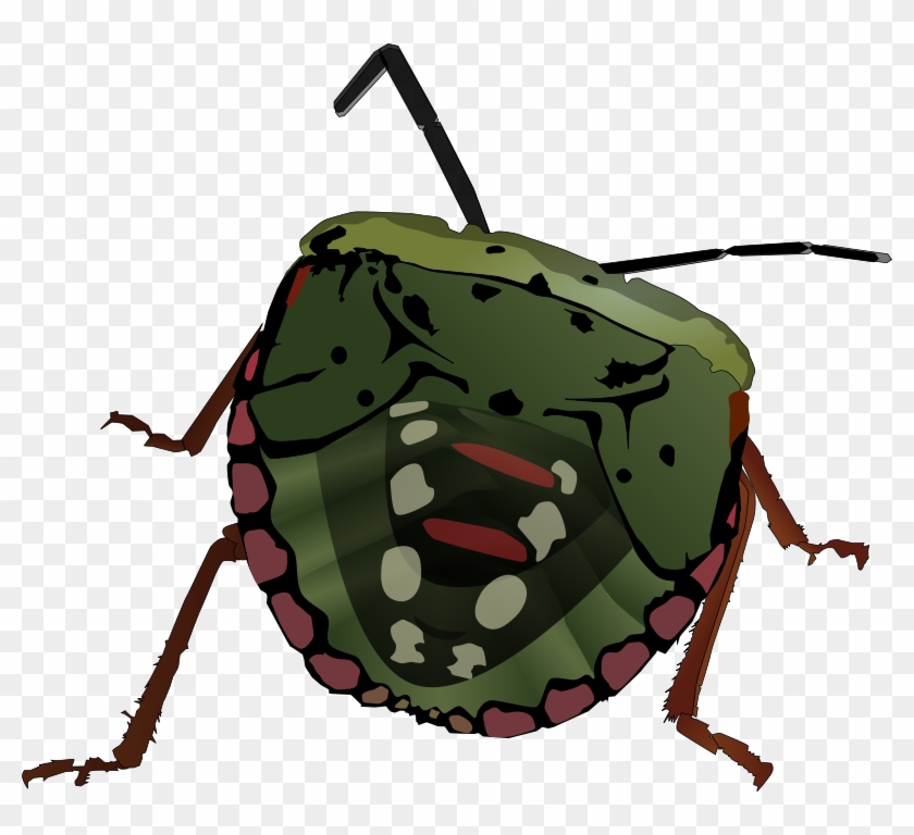 Similar Clip Art - Bug Clip Art #663847