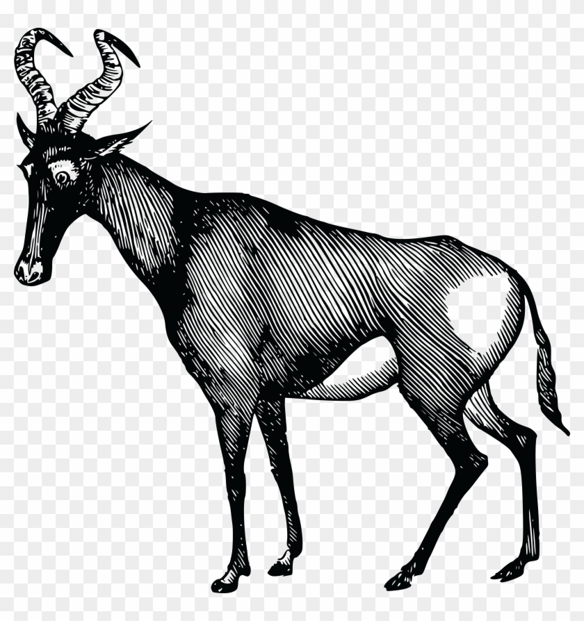 Free Clipart Of A Gazelle - Antelope #663941