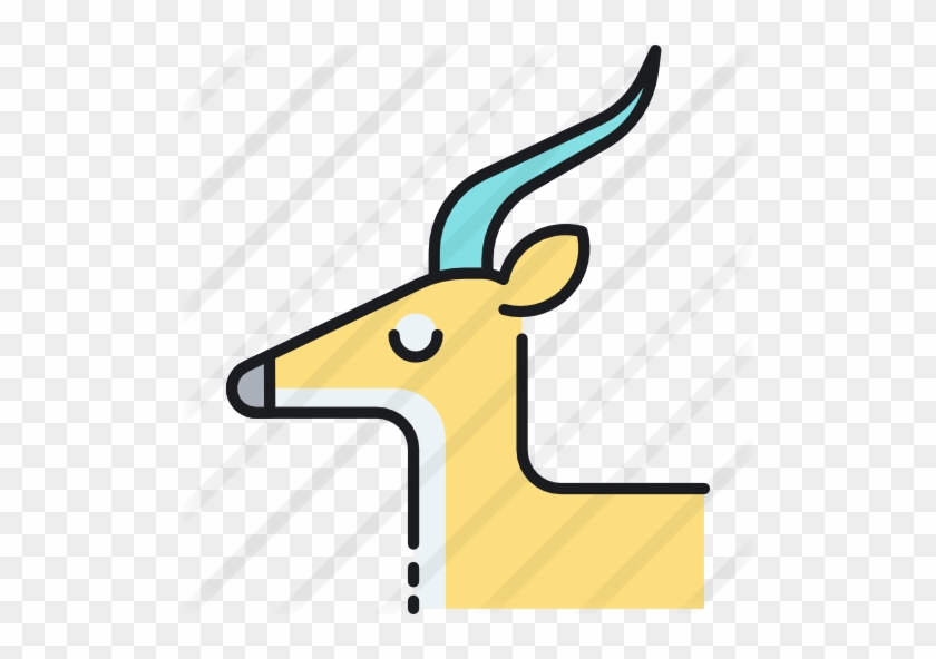 Gazelle - Gazelle #663951