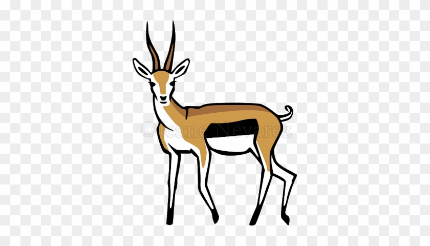 Thomson's Gazelle - Clip Art Spring Buck #664021