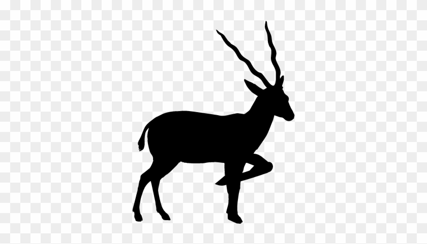 Antelope Silhouette From Side View Vector - Antelope Icon #664058