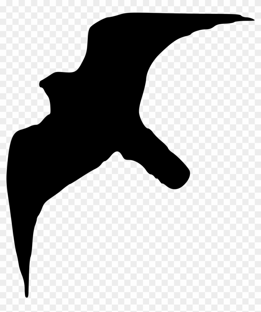 Filefalco Peregrinus Silhouette - Peregrine Silhouette #664207