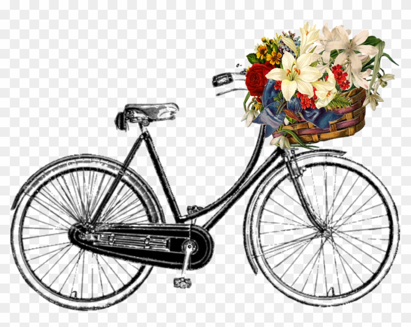 Collection Of Image Of Bicycle - Vintage Bicycle Transparent Background #664322