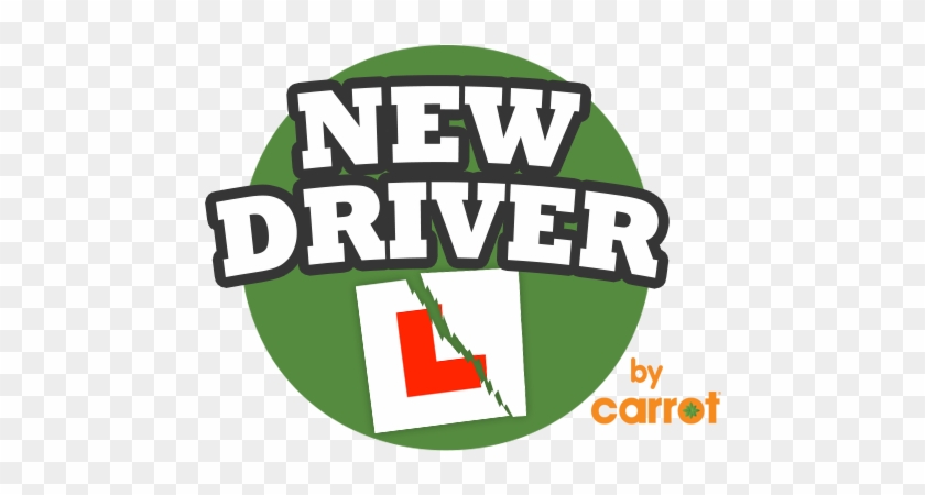 New Driver Logo - Love My Basset Hound Cute Dog Lover Tshirt #664358