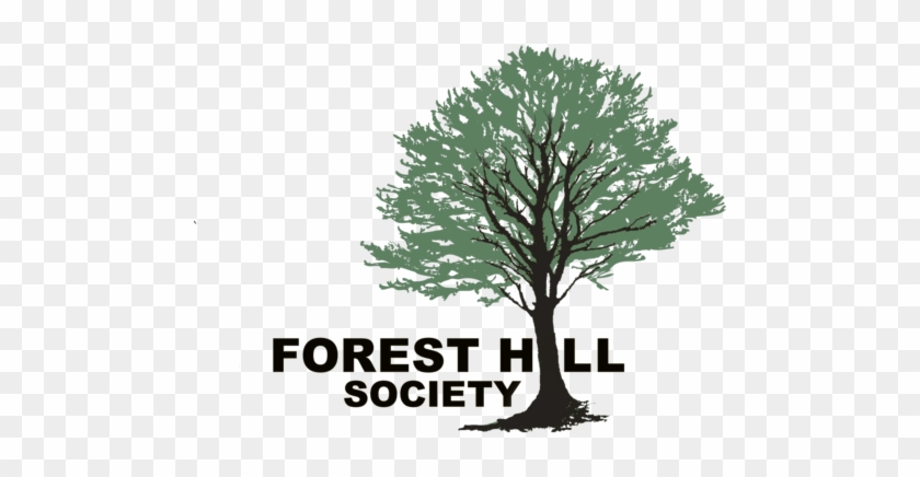 Forest Hill Society #664475