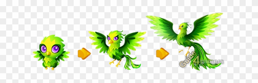 Fantasy Forest Story Peridot Phoenix - Fantasy Forest Story Birds #664512