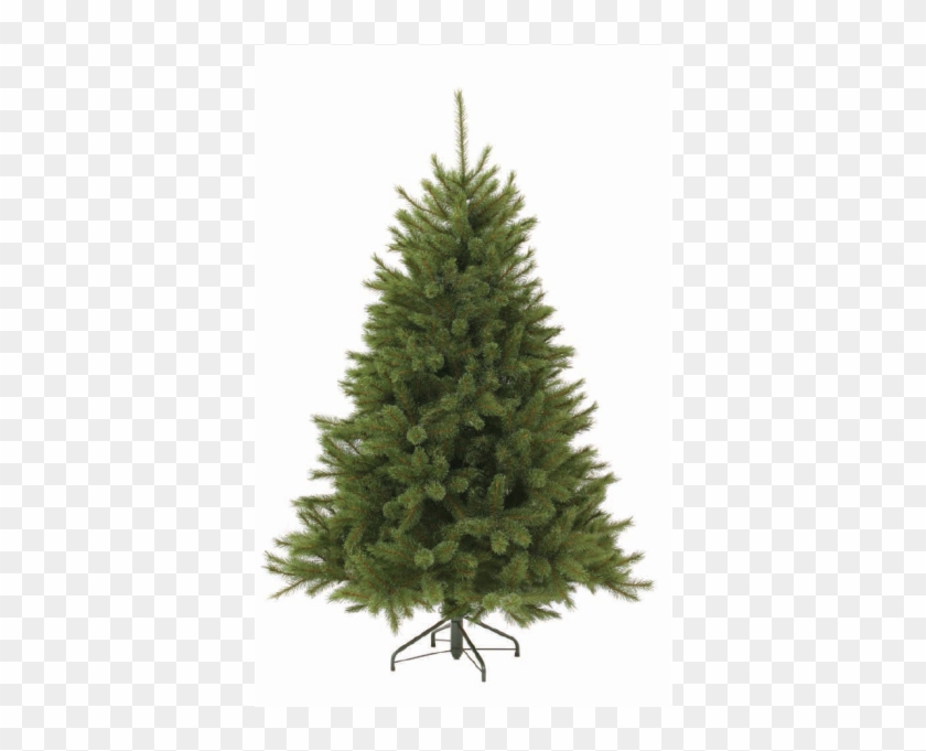 Triumph Tree Forest Frosted Pine - Christmas Tree Without Lights #664550