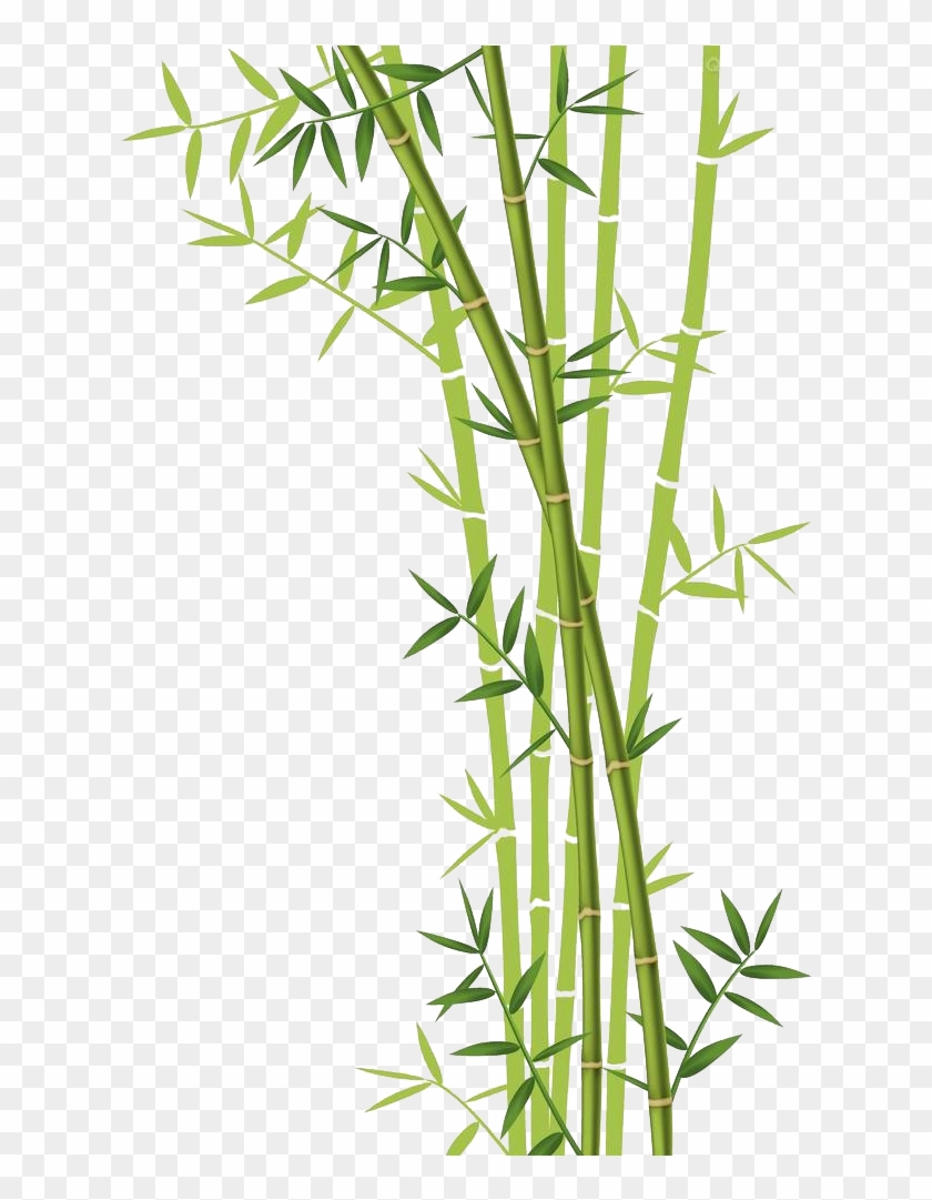 Bamboo Forest Euclidean Vector Stock Photography - Background Bamboo Vector Png #664567