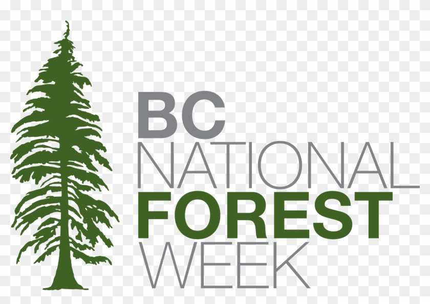 National Forest Week 2017 #664640