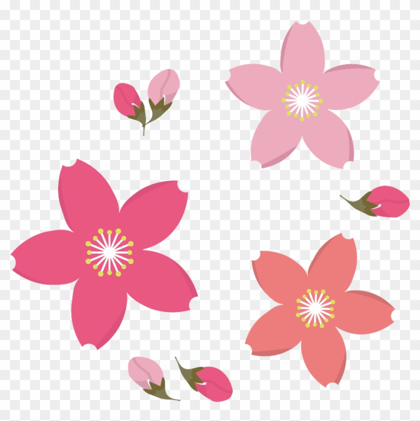 Frangipani Vector #664969