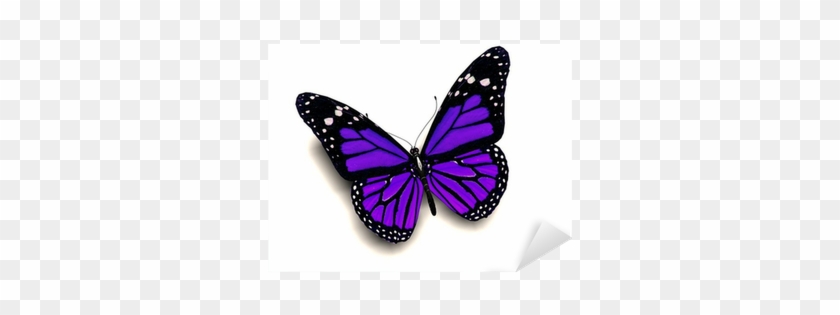 Purple Monarch Butterfly Wings #665044