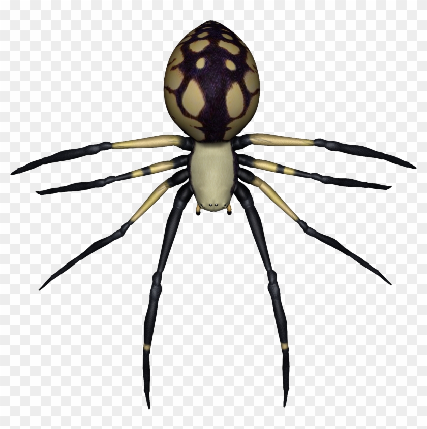 Spider Clip Art - Spiders Transparent Background #665048