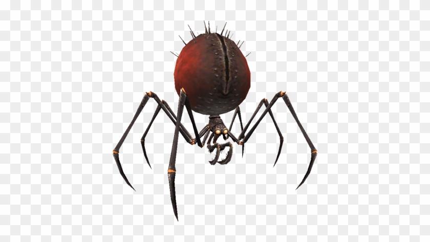 Spider - Fantasy Spider Png #665075