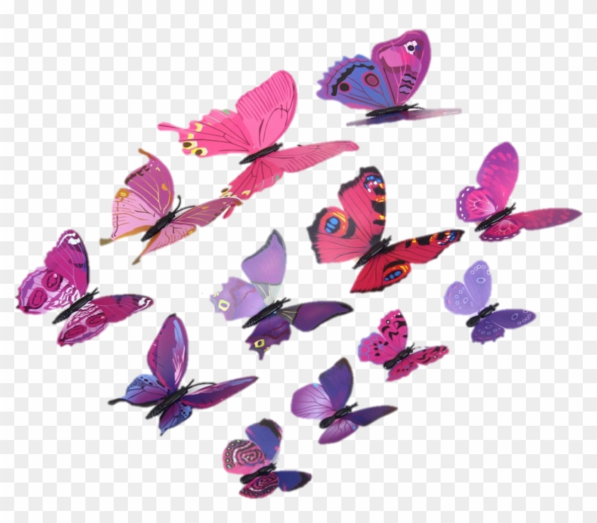 Más Vistas - Mariposa Con Rosas Png #665100