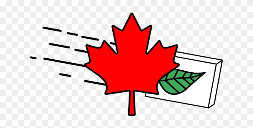 Canadian Holistics - Maple Leaf Canada #665199