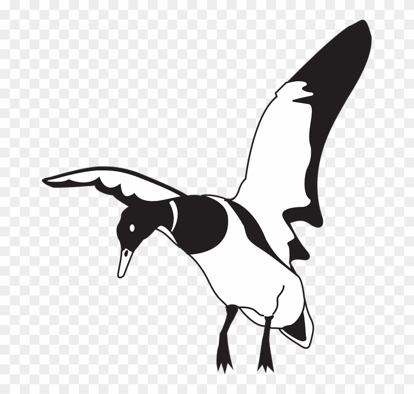 Landing Black And White Duck Clip Art - Duck Black And White #665696