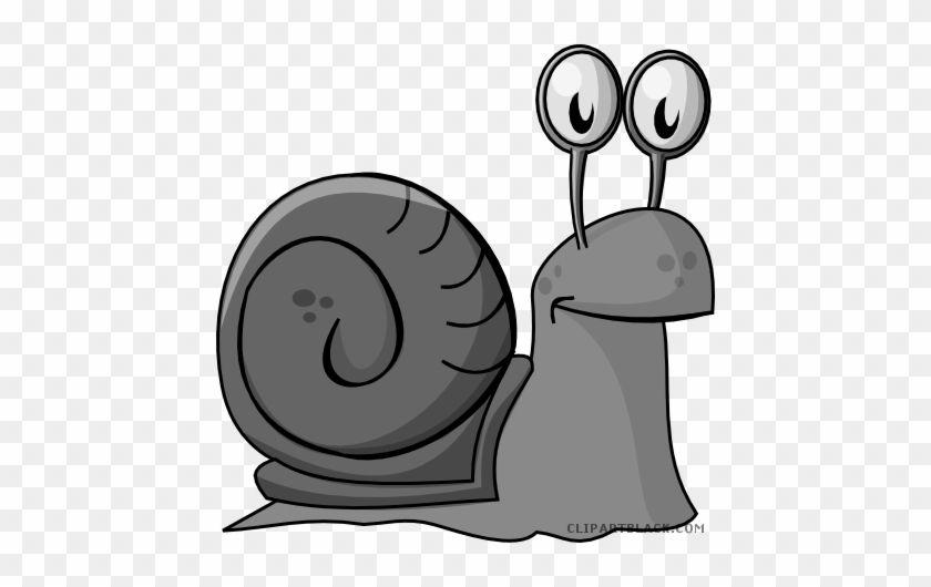Cartoon Snail Animal Free Black White Clipart Images - Cartoon Snail Animal Free Black White Clipart Images #665882