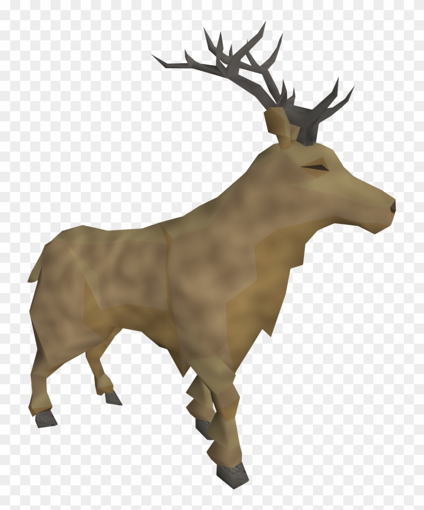 Stag - Elk #665909