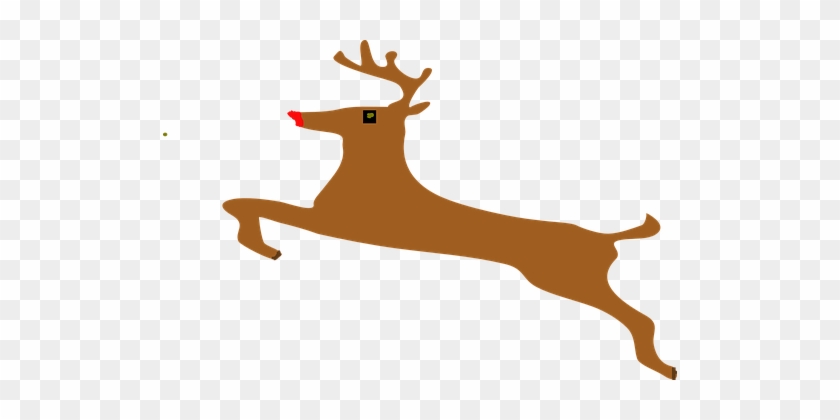 Reindeer, Stag, Deer, Jumping, Animal - Reindeer, Stag, Deer, Jumping, Animal #665939