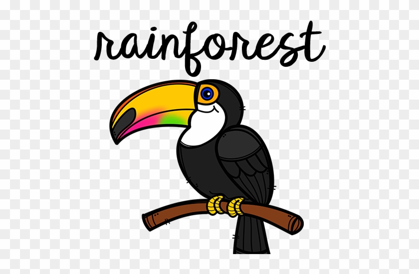 Rainforest - Question Et Reponse De Le Toucan #665990