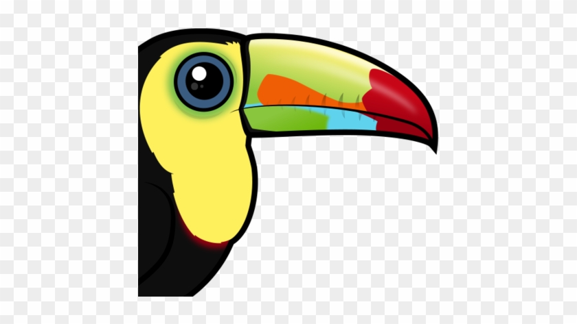 This Social Bird Lives In Small Flocks In Lowland Rainforests - Keel Billed Toucan Clipart #665995