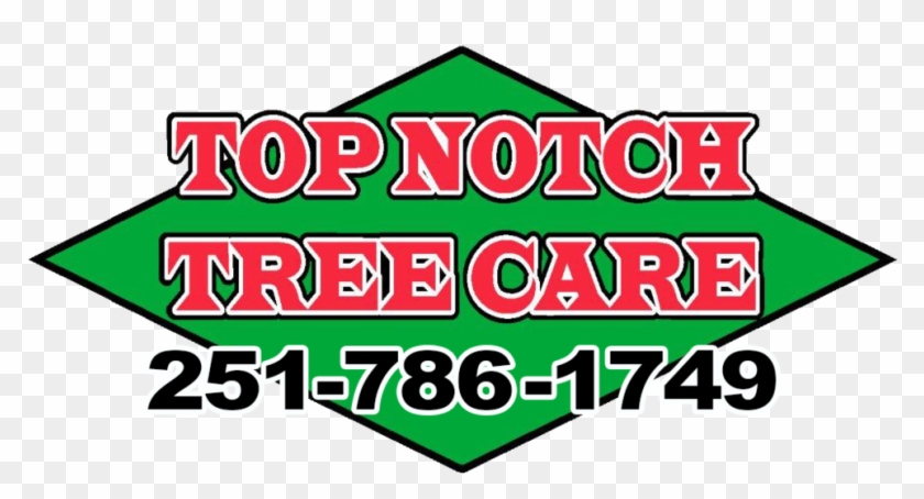 Top Notch Tree Care - Top Notch Tree Care #666181