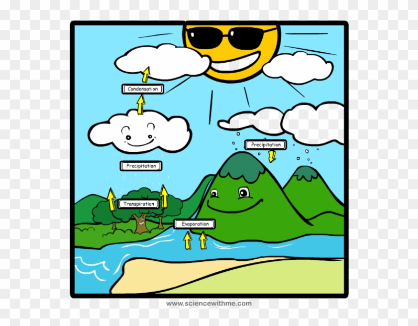 Picture - Water Cycle For 3rd Grade #666694