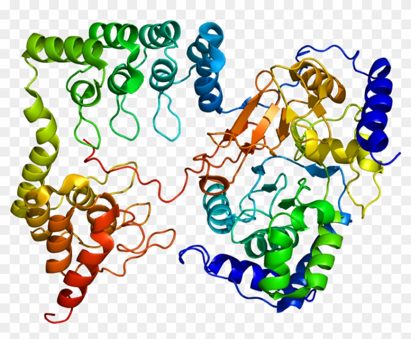 Myosin Phosphatase Rho Interacting Protein #666699