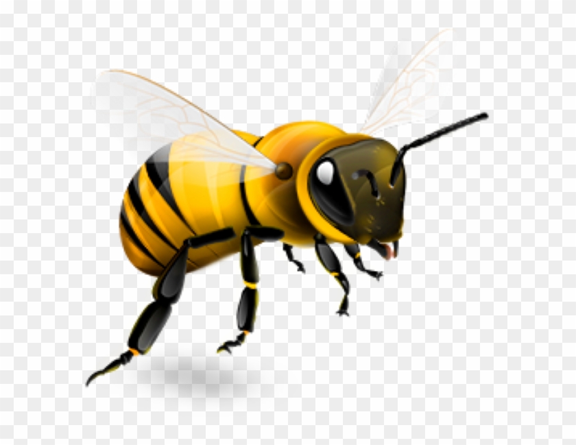 Honey Bee Png #666931