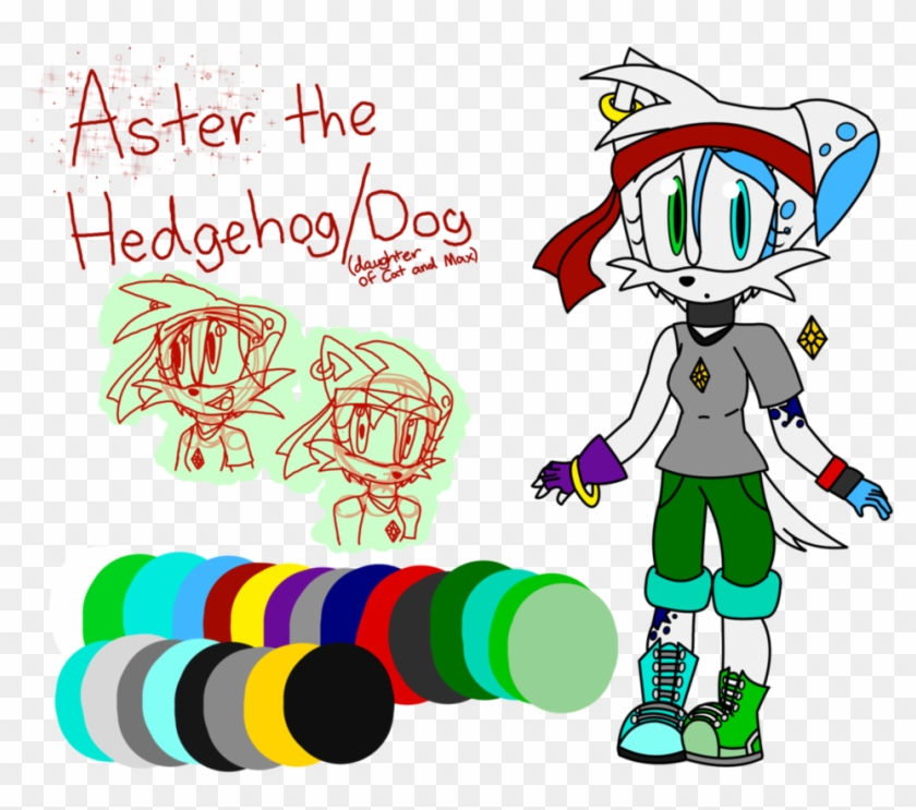 Aster The Hedgehog/dog By Cathedgehog - Hedgehog #666932