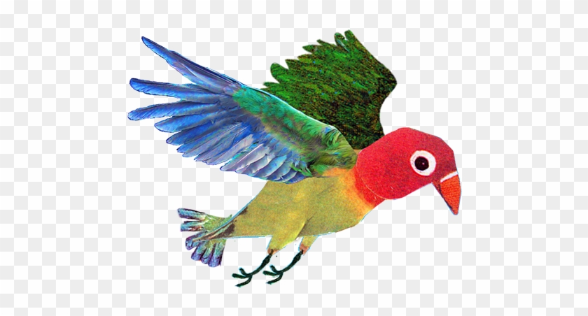 Macaw #667007