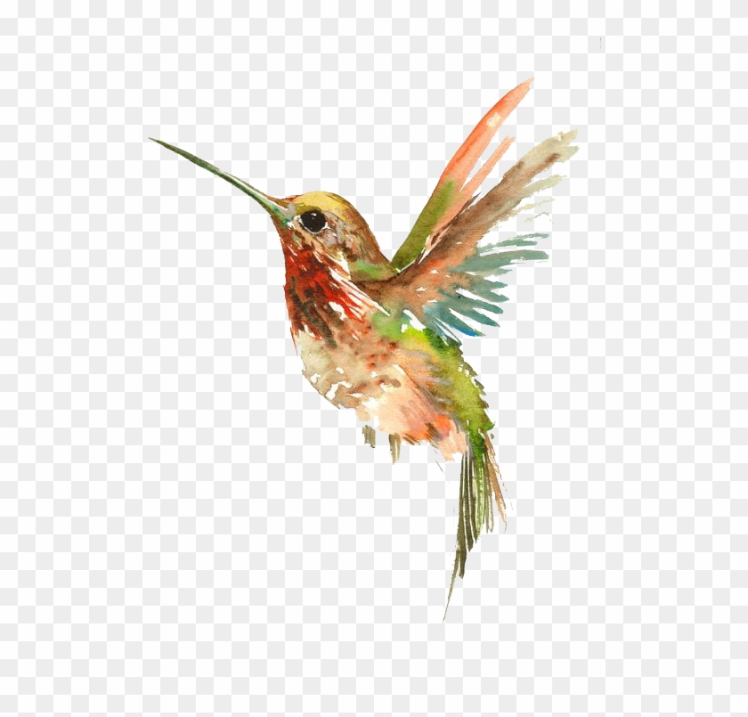 Hummingbird Watercolor Painting Tattoo - Wyuen 5 Sheets Birds Hummingbird Fake Tattoo Waterproof #667065