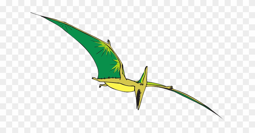 Yellow, Bird, Flying, Wings, Ancient, And - Green Dinosaur Bird #667095