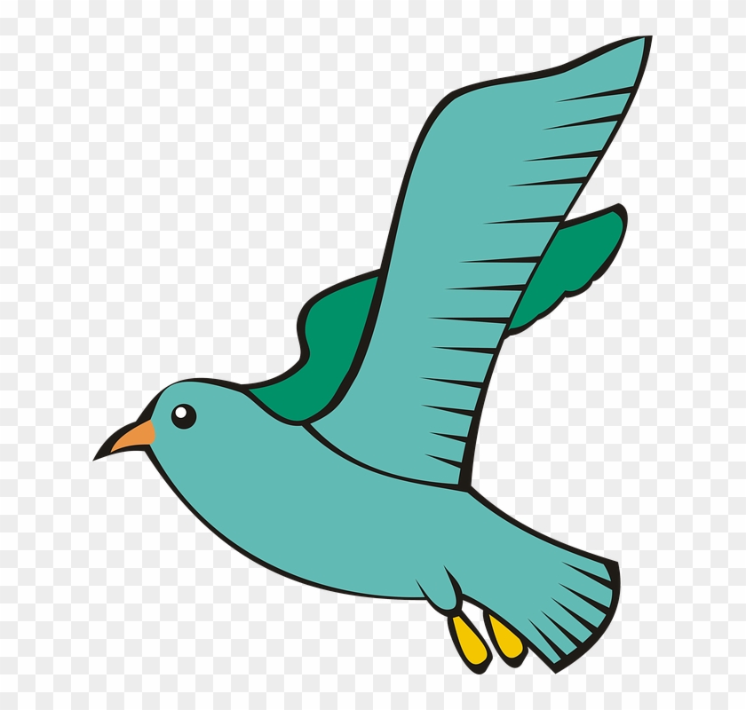 Bird, Pigeon, Flight, Sky, Green, Adobe - Domestic Pigeon #667121