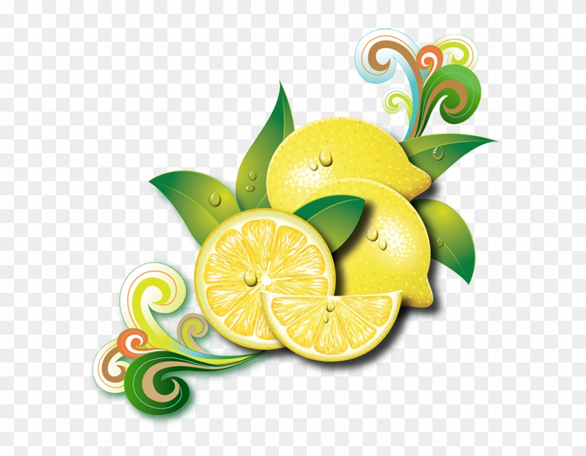 Art Direction & Design - Lemon Vector #667211