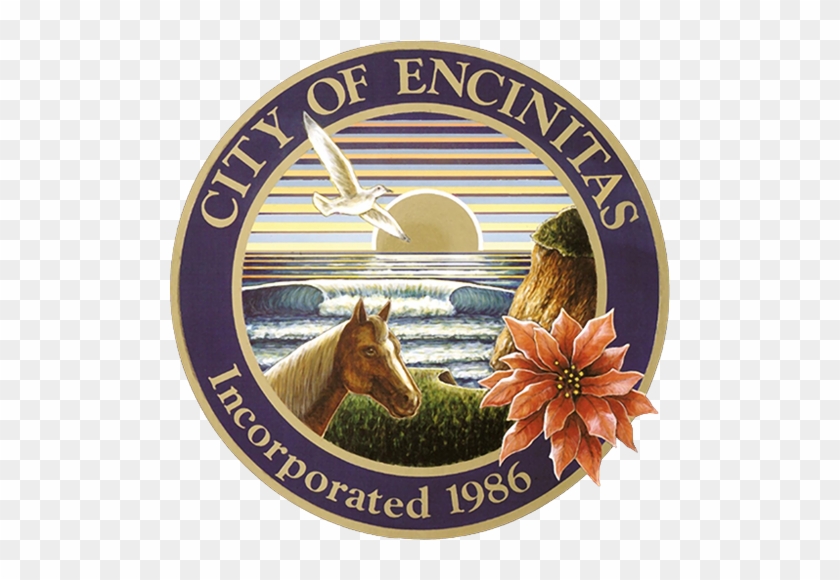 Encinitas City Council Looks To Transition To District-based - City Of Encinitas City Hall Location #667309