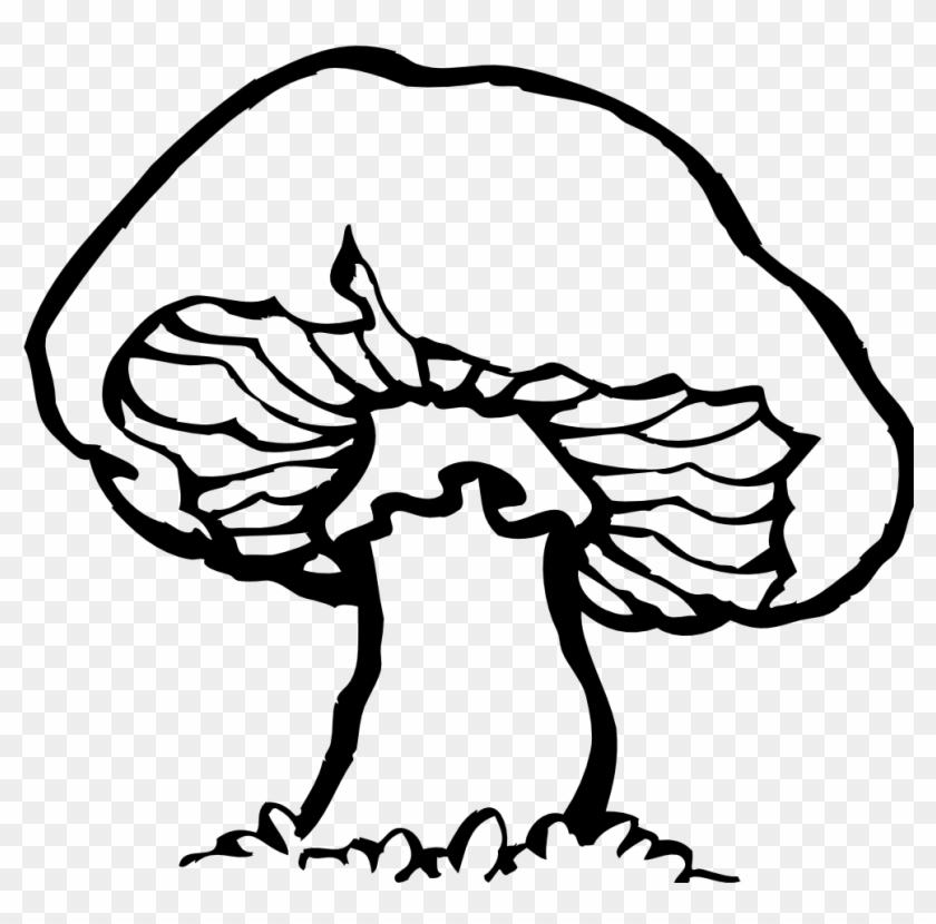 Download - Mushroom Black And White #667868