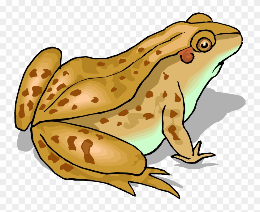 Sream Clipart Living Thing - Frog From Tuck Everlasting #668290
