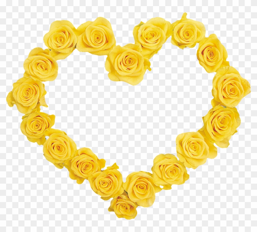 Yellow Roses Frames - Design #668974
