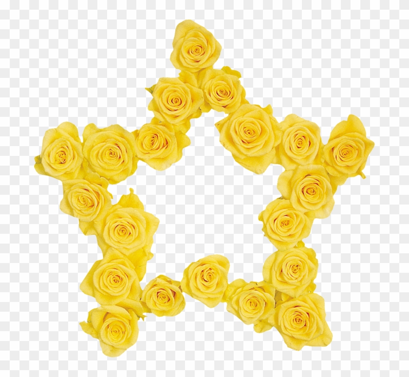 Yellow Roses Frames - Apliques Futebol Brasil #669251