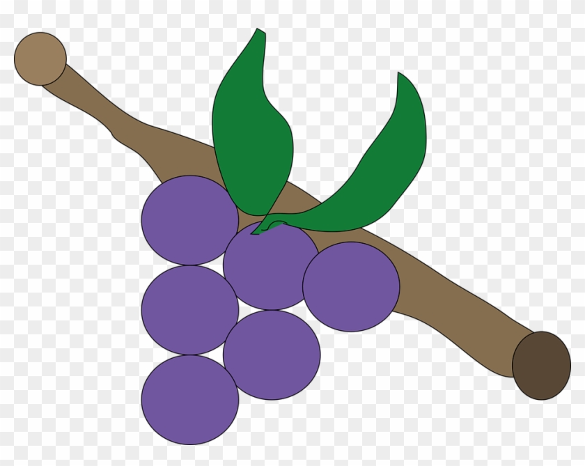 Grape Png 29, Buy Clip Art - Grape #669423