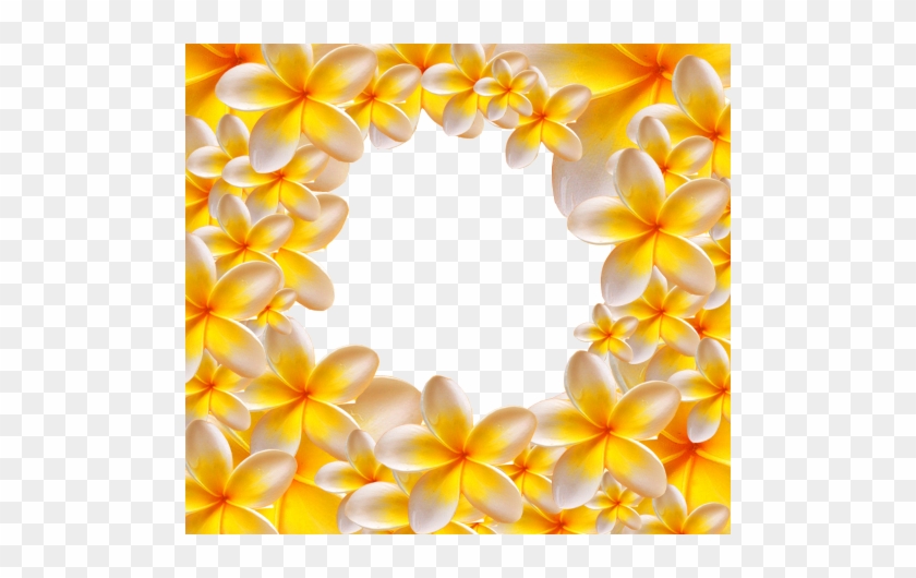 Photo Frame - Yellow Flowers - Ukrasni Okviri Za Tekst #669791