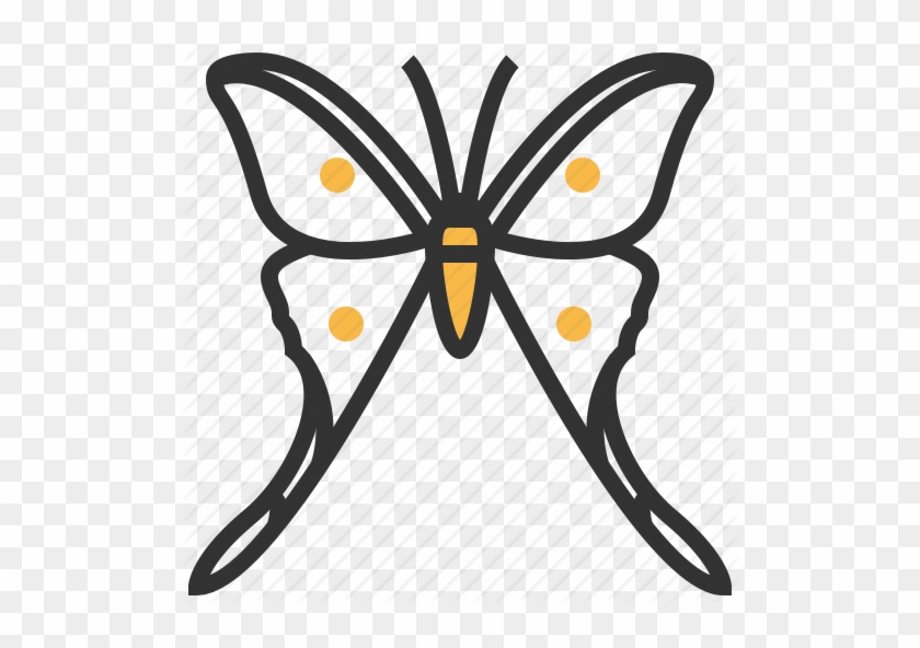 Papillon Clipart Bug - Icon #669982