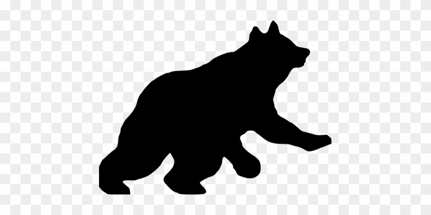 Bear Silhouette Grizzly Zoo Polar Wildlife - Black Bear Clip Art #670287