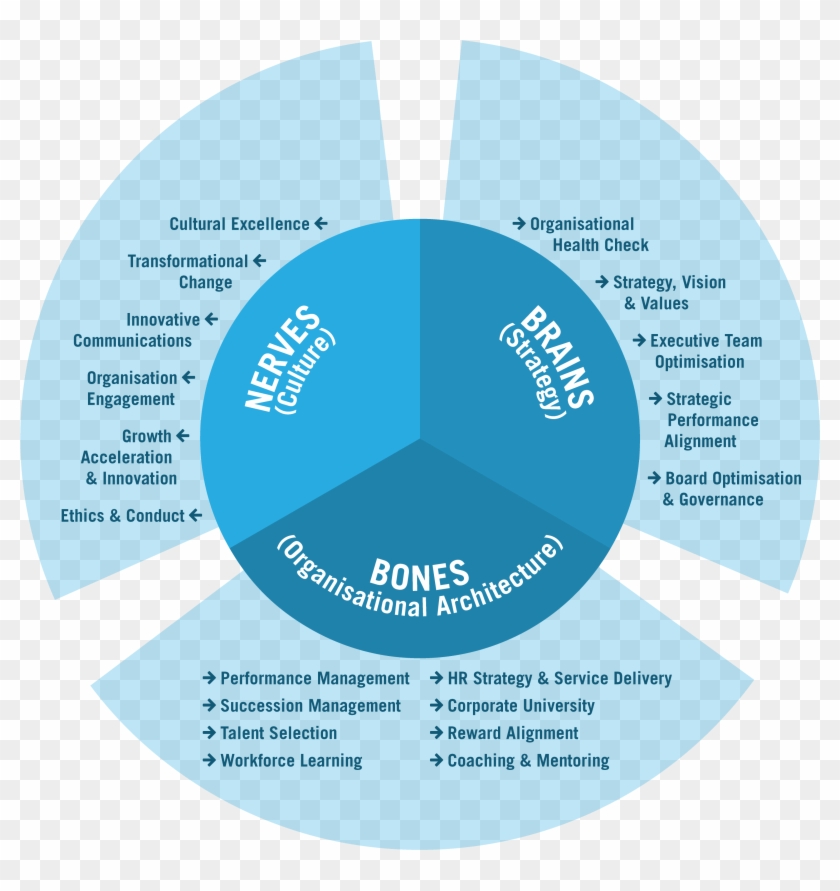 Working Capital Strategies Paper Working Capital Strategies - Human Capital Consulting Frameworks #670313