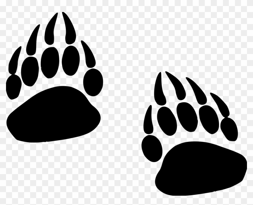 Grizzly Paw Prints File Size - Evansville Central High School #670309