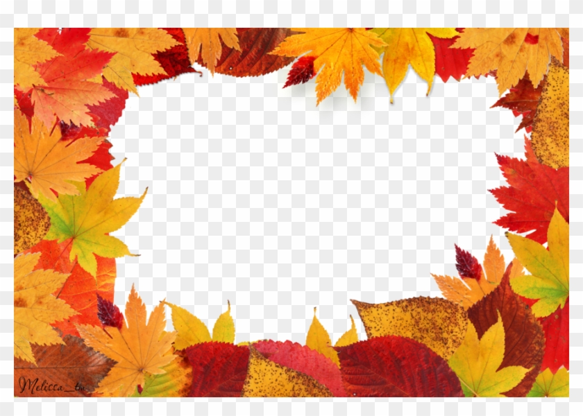 Autumn Leaves Frame Png Leaf - Autumn Leaves Frame Png #670354